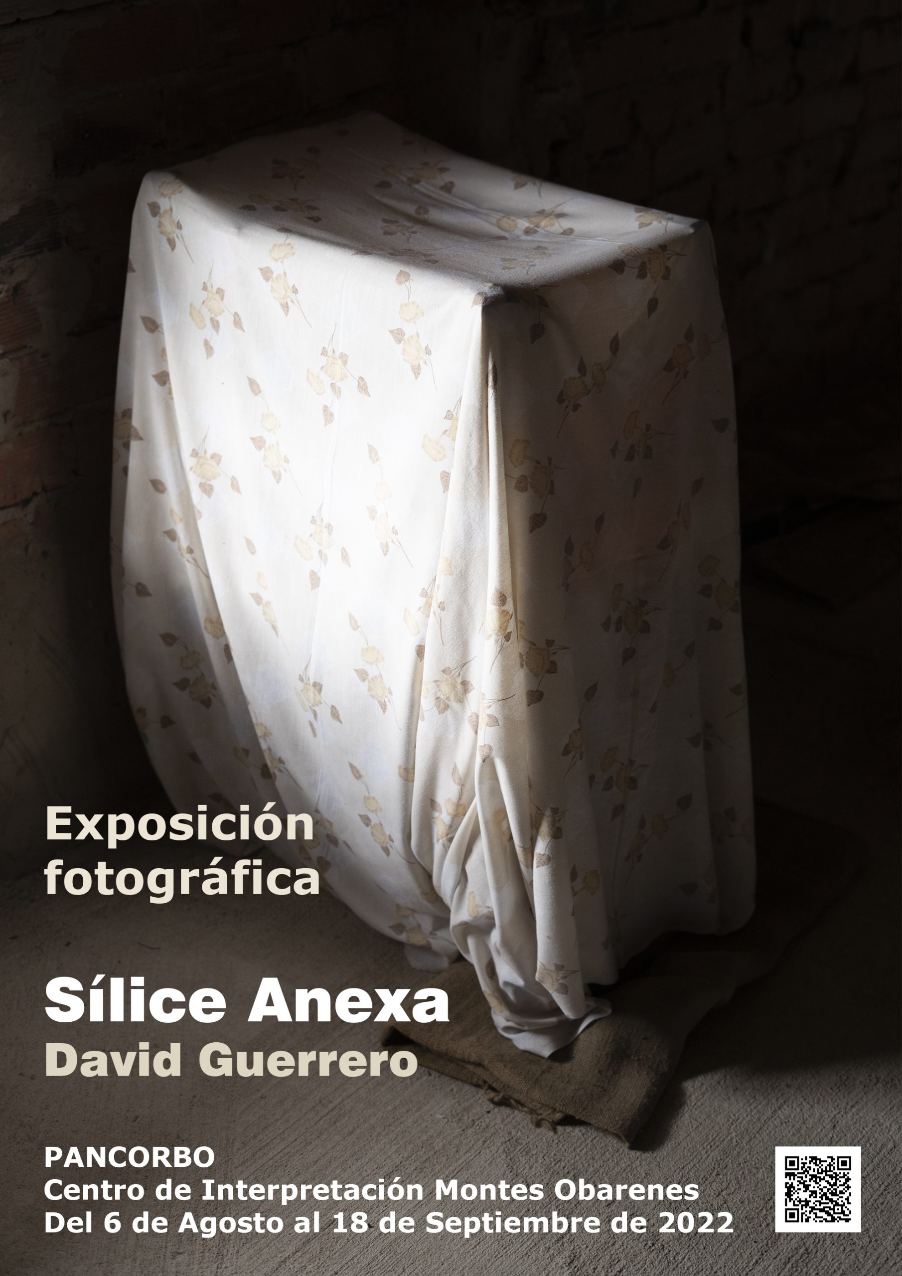 Nueva exposición de David Guerrero, Sílice Anexa.